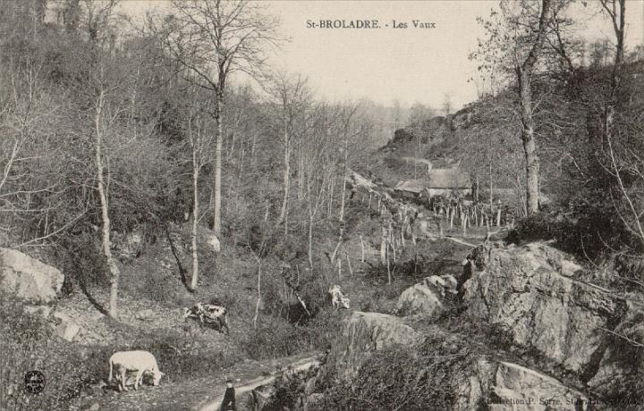 saint-broladre_les-vaux_ 06.jpg